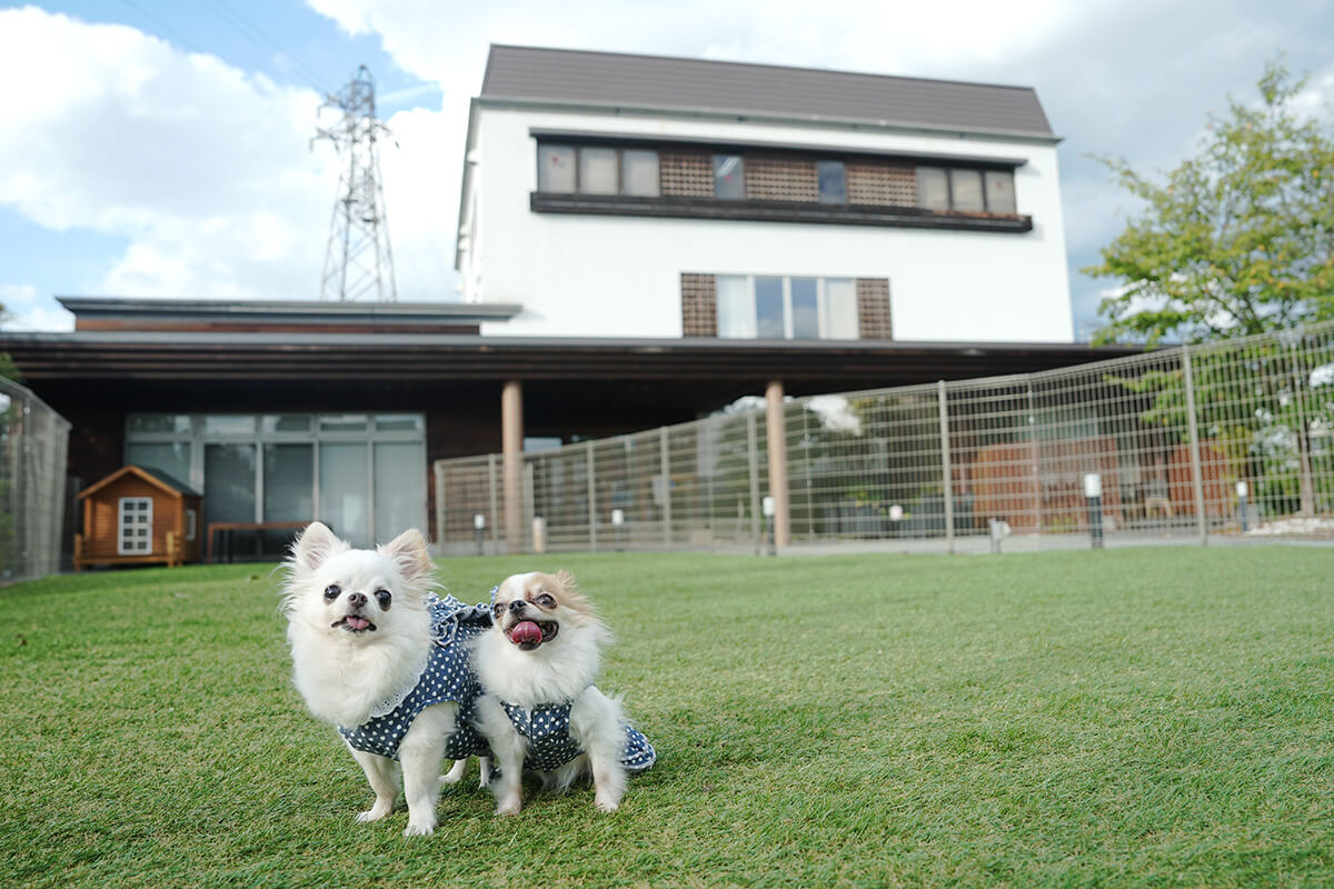 四季を感じる心安らぐ大庭園